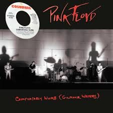 Dark Side of the Moon